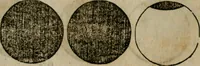 Picture 40 of 96 from Cosmographia Petri Apiani (1564), leaf 31