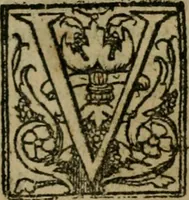 Picture 45 of 96 from Cosmographia Petri Apiani (1564), leaf 36