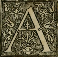 Picture 60 of 96 from Cosmographia Petri Apiani (1564), leaf 57