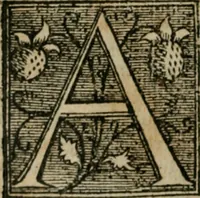Picture 69 of 96 from Cosmographia Petri Apiani (1564), leaf 67