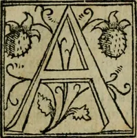 Picture 70 of 96 from Cosmographia Petri Apiani (1564), leaf 68