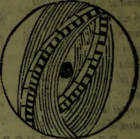 An illustration from Cosmographiae introductio cum quibusdam geometriae ac astronomiae principiis ad eam rem necessariis (1541)