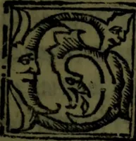 An illustration from Cosmographiae introductio cum quibusdam geometriae ac astronomiae principiis ad eam rem necessariis (1541)