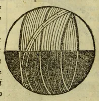 An illustration from Cosmographiae introductio : cum quibusdam gæometriæ [sic] ac astronomiæ principijs ad eam rem necessarijs (1532)