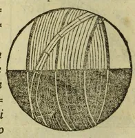 An illustration from Cosmographiae introductio : cum quibusdam gæometriæ [sic] ac astronomiæ principijs ad eam rem necessarijs (1533)