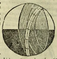 Picture 8 of 21 from Cosmographiae introductio : cum quibusdam geometriæ ac astronomiæ principiis ad eam rem necessariis (1541), leaf 24