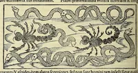 Picture 22 of 24 from Cosmographiae uniuersalis lib. VI. in quibus, iuxta certioris fidei scriptorum traditionem describuntur, omniu[m] habitabilis orbis partiu[m] situs, p[ro]priæq[ue] dotes. regionum topographicæ effigies .. (1550), leaf 1158