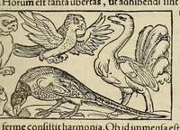 An illustration from Cosmographiae uniuersalis lib. VI. in quibus, iuxta certioris fidei scriptorum traditionem describuntur, omniu[m] habitabilis orbis partiu[m] situs, p[ro]priæq[ue] dotes. regionum topographicæ effigies .. (1550)