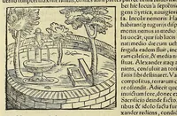 An illustration from Cosmographiae uniuersalis lib. VI. in quibus, iuxta certioris fidei scriptorum traditionem describuntur, omniu[m] habitabilis orbis partiu[m] situs, p[ro]priæq[ue] dotes. regionum topographicæ effigies .. (1550)