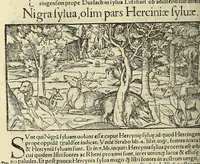Picture 12 of 24 from Cosmographiae uniuersalis lib. VI. in quibus, iuxta certioris fidei scriptorum traditionem describuntur, omniu[m] habitabilis orbis partiu[m] situs, p[ro]priæq[ue] dotes. regionum topographicæ effigies .. (1550), leaf 678
