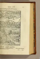 Picture 13 of 24 from Cosmographiae uniuersalis lib. VI. in quibus, iuxta certioris fidei scriptorum traditionem describuntur, omniu[m] habitabilis orbis partiu[m] situs, p[ro]priæq[ue] dotes. regionum topographicæ effigies .. (1550), leaf 845