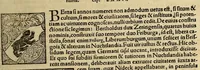 An illustration from Cosmographiae vniuersalis lib. VI. in quibus iuxta certioris fidei scriptores, sine omni cuiuscunq[ue] molestia, uel læsione, describuntur, omnium habitabilis orbis partium situs propriæq[ue] dotes. regionum topographicæ picturæ. ... (1572)