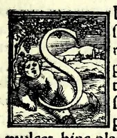 Picture 1 of 10 from Cosmographia Francisci Mavrolyci Messanensis Sicvli : in tres dialogos distincta, in quibus de forma, situ numerʹoq[ue] tam coelorum q[uam] elementorum, alijsq[ue] rebus ad astronomica rudimenta spectantibus satis disseritur (1543), leaf 13