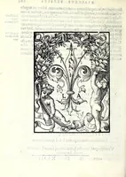 An illustration from Cosmographia Francisci Mavrolyci Messanensis Sicvli : in tres dialogos distincta, in quibus de forma, situ numerʹoq[ue] tam coelorum q[uam] elementorum, alijsq[ue] rebus ad astronomica rudimenta spectantibus satis disseritur (1543)