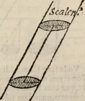 Picture 21 of 80 from Cosmographia in qvatvor libros distribvta summo ordine, miraqve facilitate, ac breuitate ad magnam Ptolemæi mathematicam constructionem, ad vniuersamque astrologiam institutens. Francisco Barocio ... avtore. Cum præfatione eiusdem autoris, in qua perfecta quidem astrologiæ diuisio, & enarratio autorum illustrium, & voluminum ab eis conscriptorum in singulis astrologiæ partibus habetur: Joannis de Sacrobosco verò 84 errores, et alij permulti suorum expositorum, & sectatorum ostenduntur. rationibusq[uam] redarguuntur. Præcesserunt etiam quædam communia mathematica, necnon arithmetica, & geometrica principia, nonnullæq[uam] propositiones, de quibus in toto opere sæpe fit mentio: ac demum locupletissimus index eorum, quæ ipsa Cosmographia continentur .. (1585), leaf 122