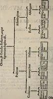 An illustration from Cosmographia in qvatvor libros distribvta summo ordine, miraqve facilitate, ac breuitate ad magnam Ptolemæi mathematicam constructionem, ad vniuersamque astrologiam institutens. Francisco Barocio ... avtore. Cum præfatione eiusdem autoris, in qua perfecta quidem astrologiæ diuisio, & enarratio autorum illustrium, & voluminum ab eis conscriptorum in singulis astrologiæ partibus habetur: Joannis de Sacrobosco verò 84 errores, et alij permulti suorum expositorum, & sectatorum ostenduntur. rationibusq[uam] redarguuntur. Præcesserunt etiam quædam communia mathematica, necnon arithmetica, & geometrica principia, nonnullæq[uam] propositiones, de quibus in toto opere sæpe fit mentio: ac demum locupletissimus index eorum, quæ ipsa Cosmographia continentur .. (1585)