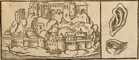 An illustration from Cosmographia Petri Apiani (1553)