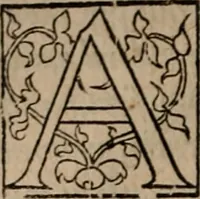 An illustration from Cosmographia Petri Apiani (1553)