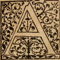 An illustration from Cosmographia Petri Apiani (1553)