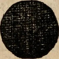 Picture 30 of 83 from Cosmographia Petri Apiani (1553), leaf 31