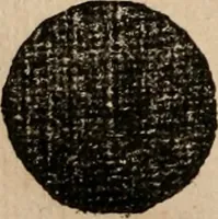 An illustration from Cosmographia Petri Apiani (1553)