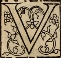 An illustration from Cosmographia Petri Apiani (1553)