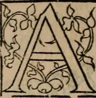 An illustration from Cosmographia Petri Apiani (1553)
