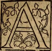 An illustration from Cosmographia Petri Apiani (1553)