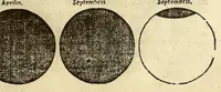 Picture 17 of 31 from Cosmographia Petri Apiani, (1550), leaf 33