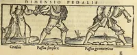 Picture 20 of 31 from Cosmographia Petri Apiani, (1550), leaf 37