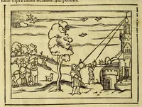 Picture 26 of 27 from Cosmographia Petri Apiani, (1564), leaf 136