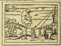 Picture 25 of 26 from Cosmographia Petri Apiani, (1564), leaf 136