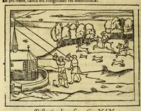 Picture 26 of 26 from Cosmographia Petri Apiani, (1564), leaf 138