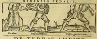Picture 12 of 26 from Cosmographia Petri Apiani, (1564), leaf 36