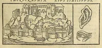 Picture 3 of 26 from Cosmographia Petri Apiani, (1551), leaf 13