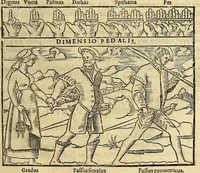Picture 13 of 27 from Cosmographia Petri Apiani, (1553), leaf 37