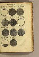 Picture 9 of 16 from Cosmographia Petri Apiani, (1545), leaf 39