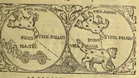Picture 6 of 29 from Cosmographia Petri Apiani, (1574), leaf 33