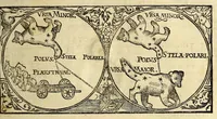 Picture 9 of 37 from Cosmographia Petri Apiani, (1574), leaf 27