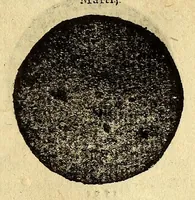 Picture 16 of 37 from Cosmographia Petri Apiani, (1574), leaf 31