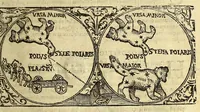 Picture 8 of 27 from Cosmographia, siue descriptio vniuersi orbis, (1584), leaf 43
