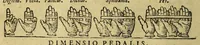 Picture 10 of 27 from Cosmographia, siue descriptio vniuersi orbis, (1584), leaf 52