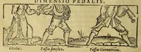 Picture 11 of 27 from Cosmographia, siue descriptio vniuersi orbis, (1584), leaf 52