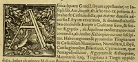 An illustration from Cosmographia, siue descriptio vniuersi orbis, (1584)