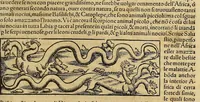 Picture 28 of 28 from Cosmographia vniuersale, nella quale secondo che n'hanno parlato : ipiu veraci scrittori, son designati i siti di tutti gli paësi. I siti de tutte le parti del mondo habitabile, & le proprie doti: le tauole topographice delle regioni ... (1575), leaf 1321