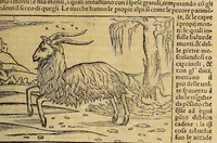 Picture 9 of 28 from Cosmographia vniuersale, nella quale secondo che n'hanno parlato : ipiu veraci scrittori, son designati i siti di tutti gli paësi. I siti de tutte le parti del mondo habitabile, & le proprie doti: le tauole topographice delle regioni ... (1575), leaf 469