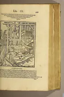 An illustration from Cosmographia vniuersale, nella quale secondo che n'hanno parlato : ipiu veraci scrittori, son designati i siti di tutti gli paësi. I siti de tutte le parti del mondo habitabile, & le proprie doti: le tauole topographice delle regioni ... (1575)