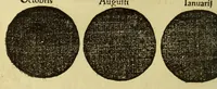 Picture 7 of 27 from Cosmographicus liber Petri Apiani mathematici, (1533), leaf 30