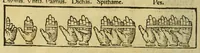 An illustration from Cosmographicus liber Petri Apiani mathematici, (1529)
