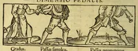 Picture 22 of 30 from Cosmographicus liber Petri Apiani mathematici, (1529), leaf 44